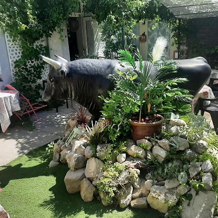 Hotel La Tour Des Fees Quissac  Zewnętrze zdjęcie
